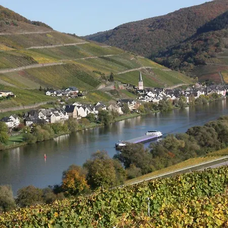 Fewo-Am-Rotheschbach Zell an der Mosel Exterior photo