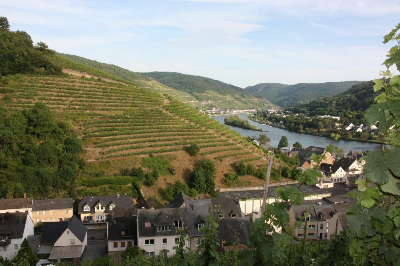 Fewo-am-rotheschbach *